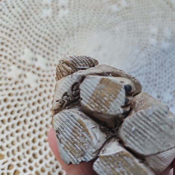 Artesania Rinconada Lynx Wild Cat #77 (Light color) - Picture 11 of 13